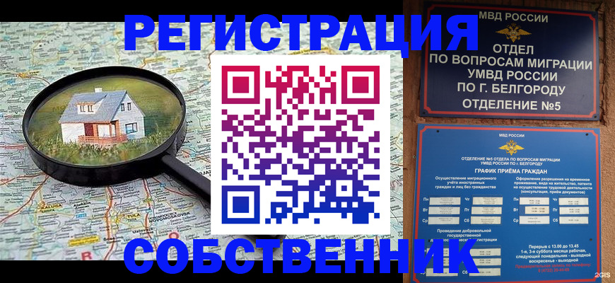 регистрация для школы в Мончегорске
